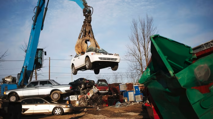 Colectare Rable Auto Bucuresti